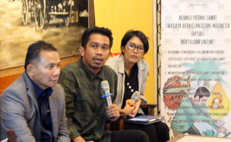 Ketua SPKS: Pendekatan Yurisdiksi Pendanaan ISPO untuk Keberlanjutan Petani Kelapa Sawit