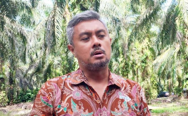 RSPO Mendukung Kolaborasi Petani Kelapa Sawit Swadaya di Provinsi Riau