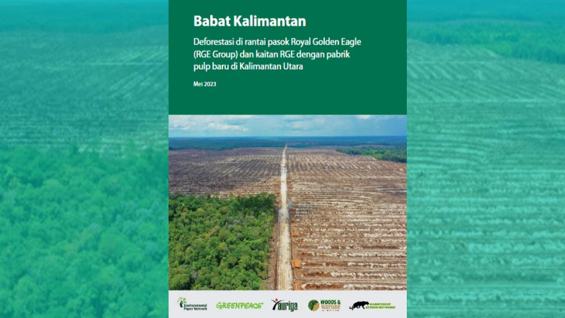 Masih Ada Deforestasi dalam Rantai Pasok Grup RGE dalam Laporan Investigasi