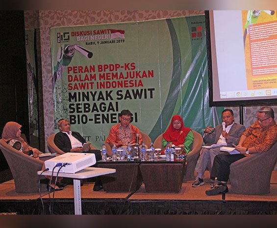 Industri Sawit Berpeluang Dorong Pengembangan Bioenergi