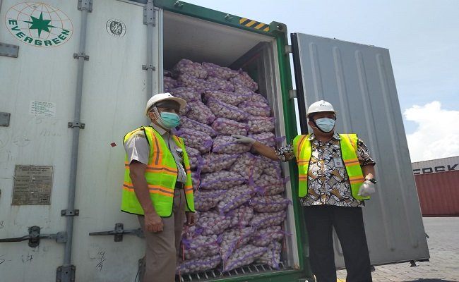 Ministry of Agriculture Made Sure that the Stocks of Garlic during Covid-19 Are Good