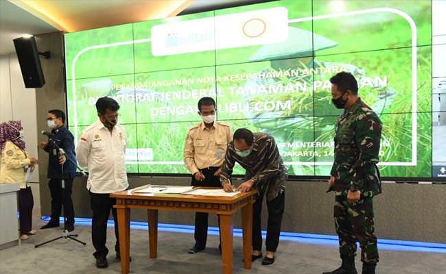 Ministry of Agriculture Took E-Commerce to Sell the Rice