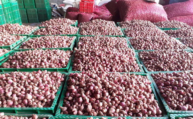 Onion of Pati: Ready to Multiply the Stocks in Fasting Days