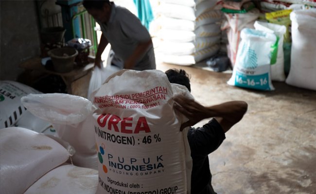 Penyaluran Pupuk Bersubsidi Tak Terhambat Kebijakan PSBB