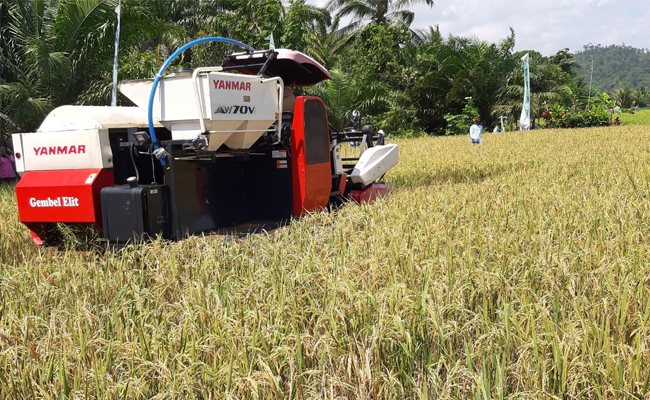 Representatives: The Budget to Agriculture Should not be Cut off to Secure the Economy