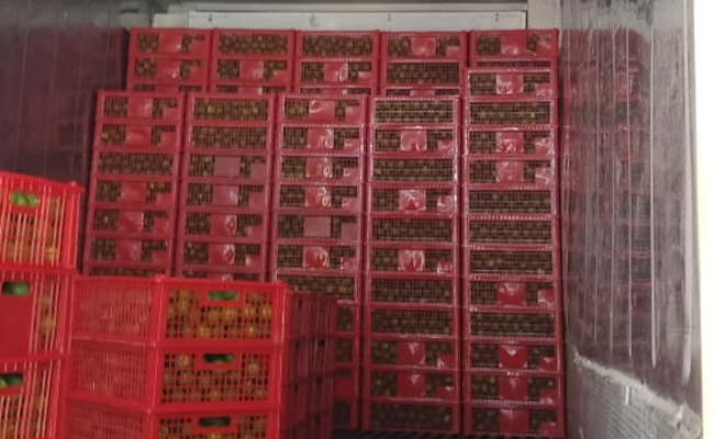 The Horticulture Production Increased