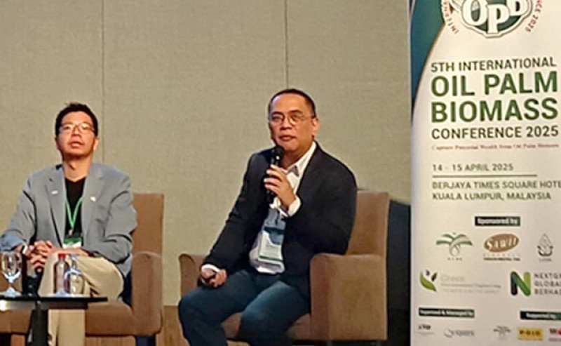 Biomassa Sawit: Peluang Energi Terbarukan Indonesia