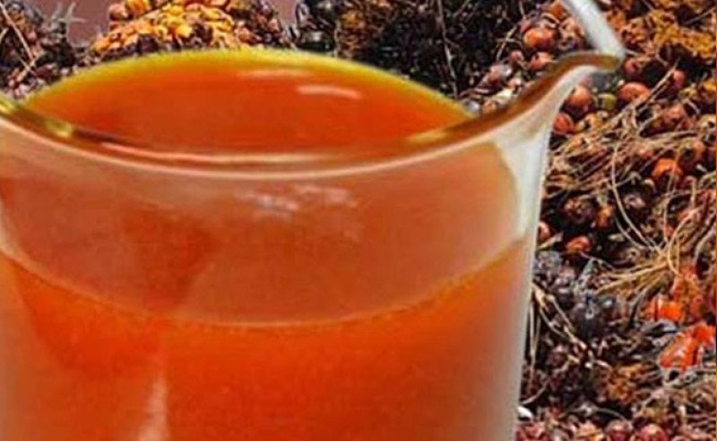 Harga CPO KPBN Naik Tipis, di Bursa Malaysia Turun Pada Selasa (29/4)