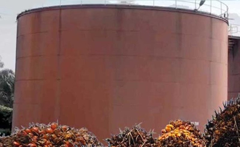 Harga CPO Malaysia Melemah Dua Hari Beruntun