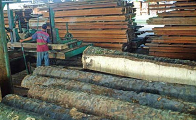 Pacu Ekspor Produk Kayu Ringan, Kemendag Rangkul Pelaku Usaha di Kalimantan Tengah