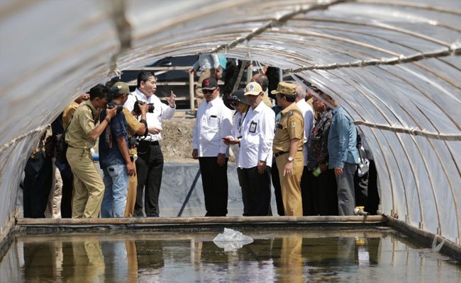 Produksi Garam Nasional Meningkat 1 Juta Ton/Tahun