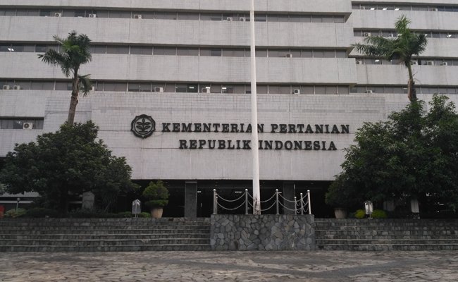 Decision of Ministry of Agriculture about Marijuana Refers to the Laws of Narcotic