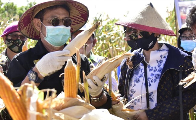 Mentan SYL Tingkatkan Pengembangan Kedelai, Jagung dan Kelapa di Sulut