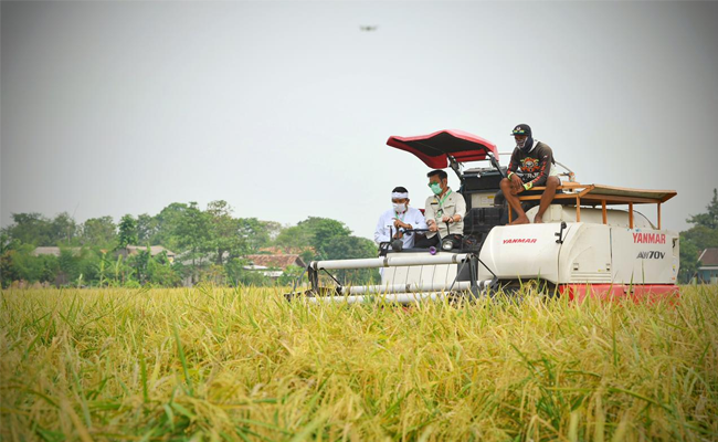 Ministry of Agriculture Appreciated Bekasi to Maintain the Agriculture Areas through Regional Regulation