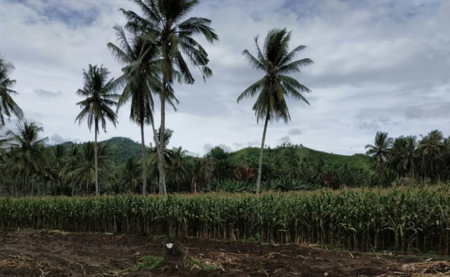 Ministry of Agriculture Prepared the Anticipation Where the Flood May Happen in the Dry Season