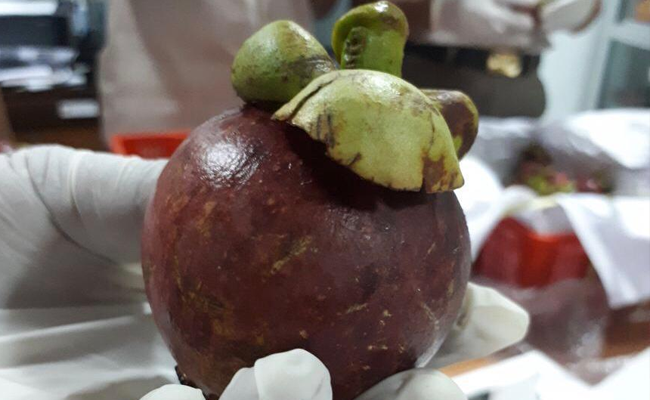 Selama Pandemi, Permintaan Buah Lokal Melonjak Tajam