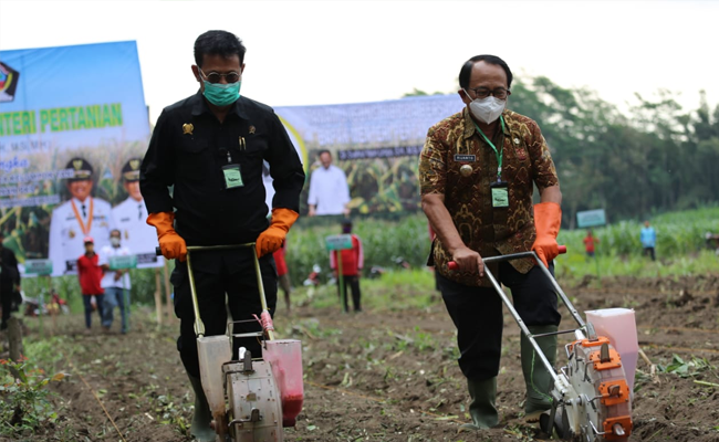 Visiting the Forestry Region in Blitar, SYL and The Regent Planted Corn Together