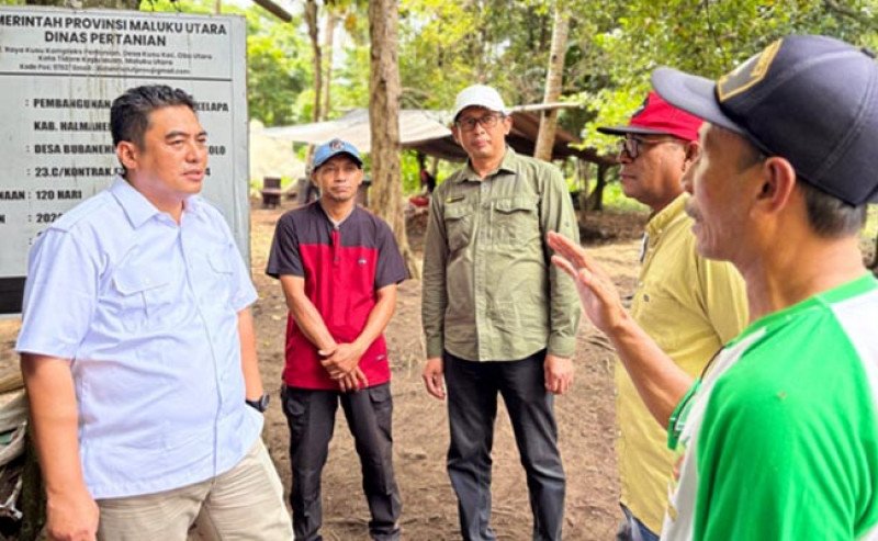 Perkuat Hilirisasi, Kementan Genjot Sagu hingga Pala di Timur Indonesia