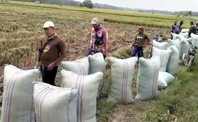 Ketua DPR Apresiasi Kebijakan Presiden Prabowo Beli Gabah dengan Harga Layak untuk Sejahterakan Petani