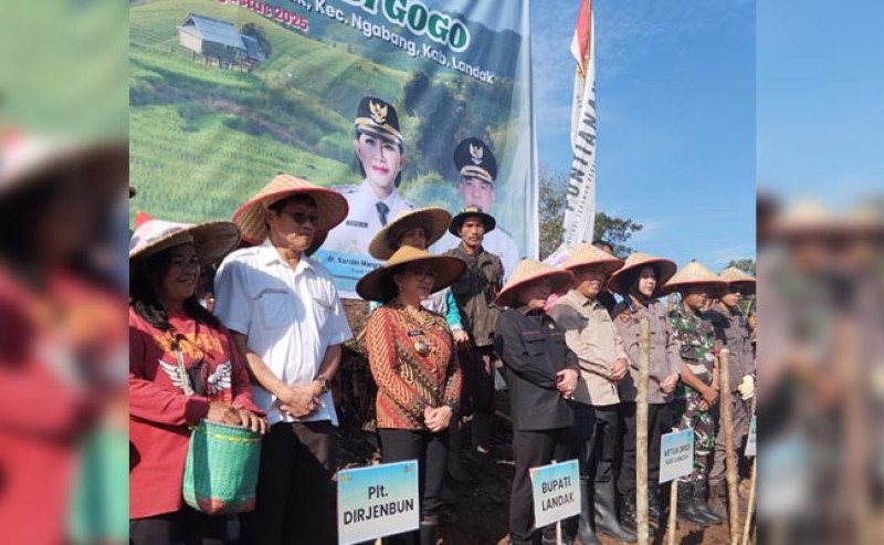 Kementan Tanam Padi Gogo Perdana di Landak, Harapan Baru Lumbung Pangan Kalimantan Barat