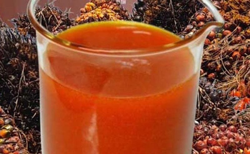Harga CPO KPBN Inacom Selasa (4/8), Naik ke Rp15.800/Kg