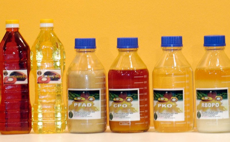 Harga CPO KPBN Kamis (6/8) Turun Menjadi Rp15.650/kg, Bursa Malaysia Tertekan