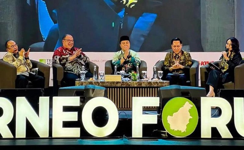 Kebijakan DHE SDA 50% Perlu Pertimbangkan Likuiditas dan Daya Saing Industri Sawit