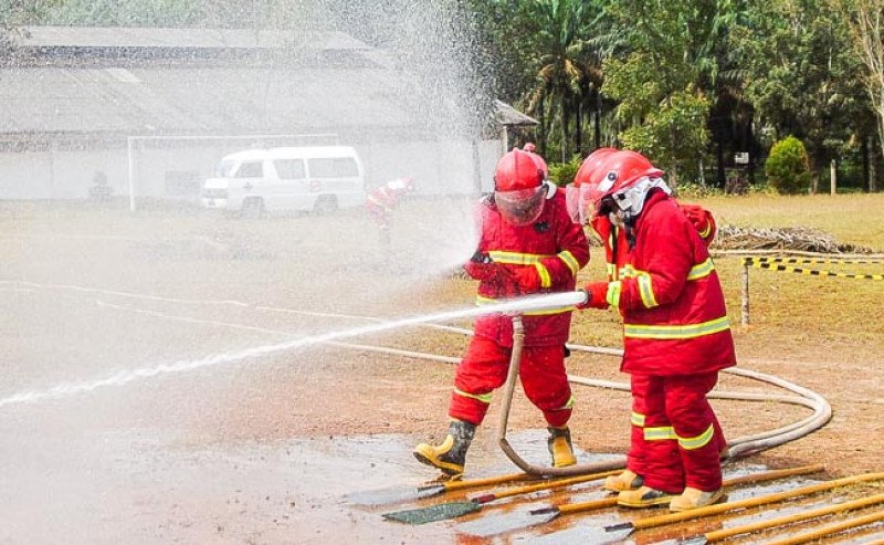 APHI dan GAPKI Imbau Anggota Perkuat Pencegahan Karhutla