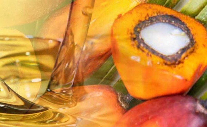 Harga CPO Malaysia Melemah ke RM4.711 per Ton, Stok Tinggi Tekan Pasar