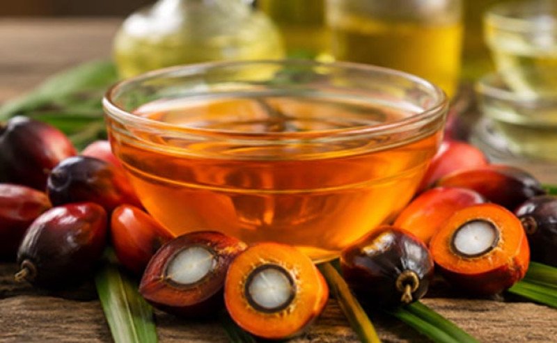 Harga CPO KPBN Inacom Naik ke Rp15.835 Per Kg pada Selasa (18/8)