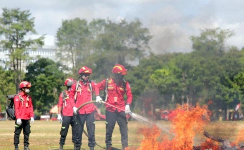 APHI dan GAPKI Dorong Protokol Bersama untuk Percepat Pemadaman Karhutla
