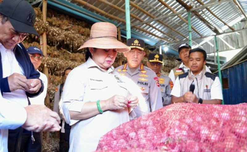 Kementan Kucurkan Rp55,65 Miliar untuk Kejar Swasembada Bawang Putih