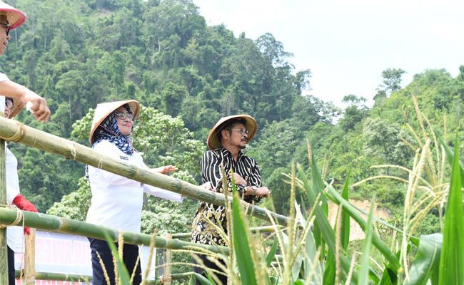 Mentan Syahrul Tanam Jagung bersama di Mamuju, Sulbar