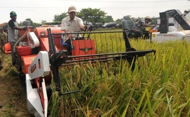 Sektor Pertanian Terbukti Dorong Percepatan Pemulihan Ekonomi Nasional