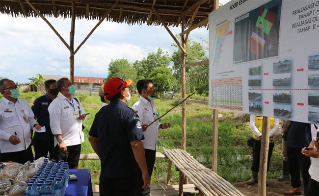 SYL Pushed the Production to Rice Downstream Products in Food Estate, Central Kalimantan