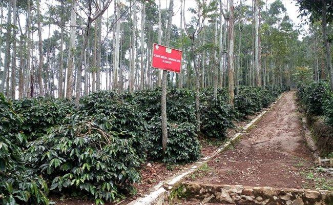 The Exports in November 2020 Significantly Increased