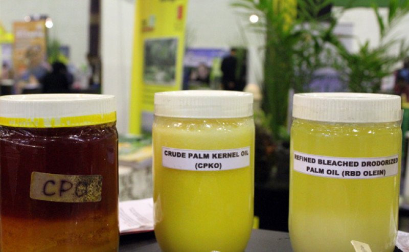 Update Harga CPO Inacom Selasa (9/12/2025): Naik Tipis, Tertinggi Rp 14.325/Kg