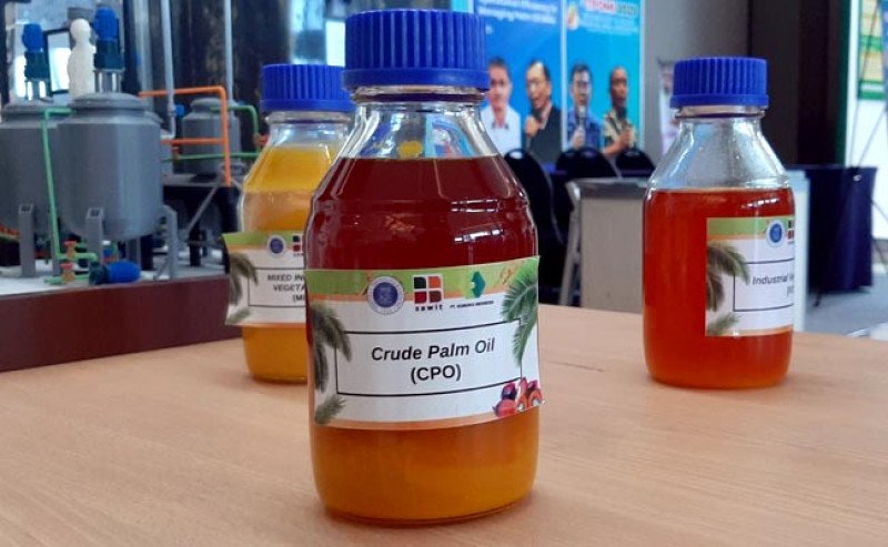 Harga CPO KPBN Inacom Selasa (16/12) Turun Tipis, Franco Dumai Melemah Rp 35 per Kg