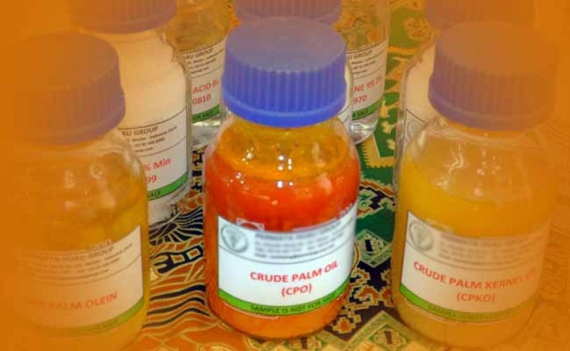 Harga CPO Rabu KPBN Inacom (17/12/2025) Masih Melemah, Turun Rp 65 per Kg