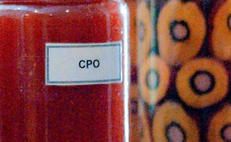 Harga Tender CPO KPBN Inacom Jumat (19/12): Franco Dumai Turun, FOB Kalsel Masih WD