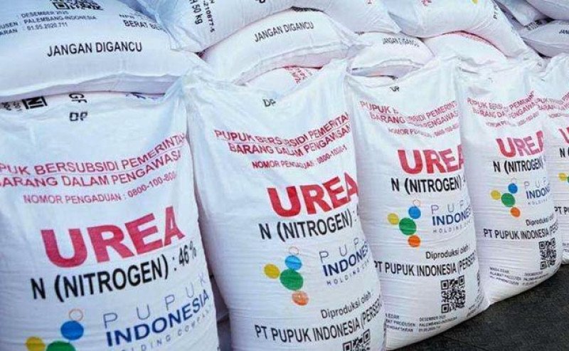 Perpres 113/2025 Buka Peluang Ekspor Pupuk, Tata Kelola Subsidi Kian Terarah
