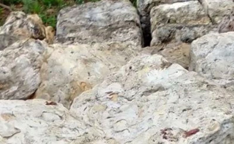 Harga Karet SGX Sicom Senin (22/12) Turun Tipis, Tertinggi Rp 29.139 per Kg