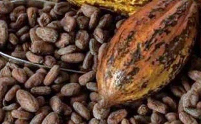 Sidang Kakao Fiktif UGM–Pagilaran: Saksi Sebut Masalah Retur Sudah Tuntas Sejak 2021