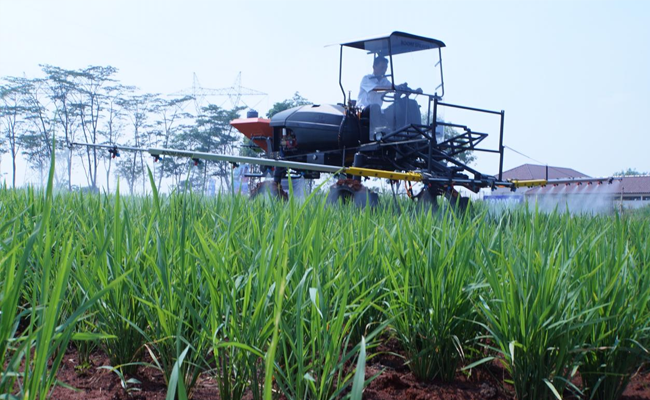 Investasi Sektor Pertanian Melalui PMDN Kian Meningkat