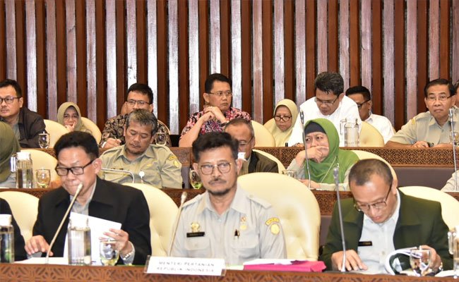Kementan: Kebutuhan Pangan 2020 Aman dan Terkendali