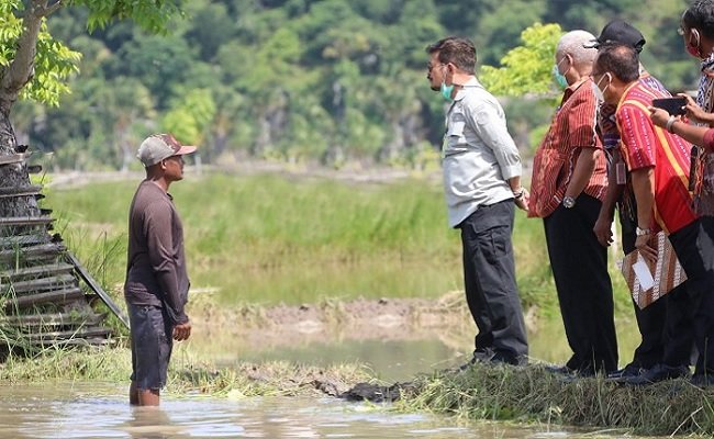 Food Estate Rotiklot, Harapan Baru Ketahanan Pangan Nasional Wilayah Timur