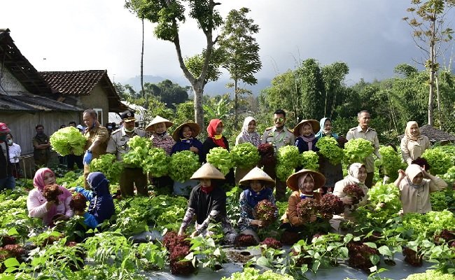 Want to Make Food Plantation Corporate? Here you are