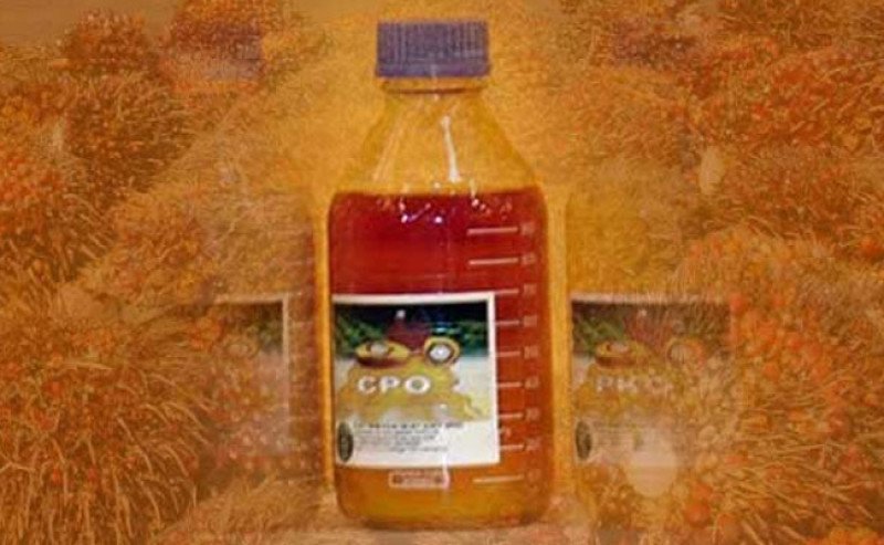 Harga CPO di Inacom Selasa 11 Februari 2025 Naik Rp 101 per Kg