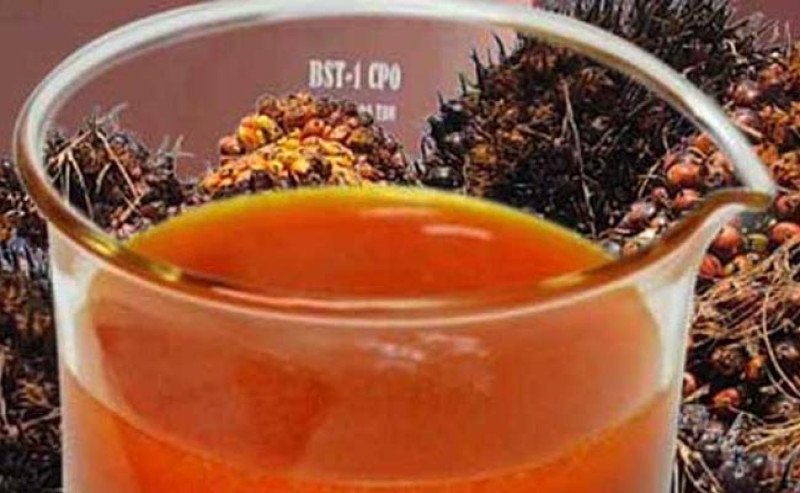 CPO Bursa Malaysia Jumat (20/2) Melemah, Tertekan Soyoil dan Kekhawatiran Pasokan Global