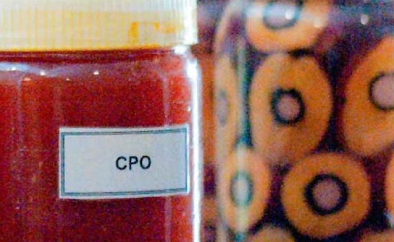 Harga CPO KPBN Inacom Selasa (24/2) Naik Tipis Jadi Rp 14.185 Per Kg